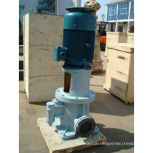 Hot Sell 3gcl Head of Screw Pump